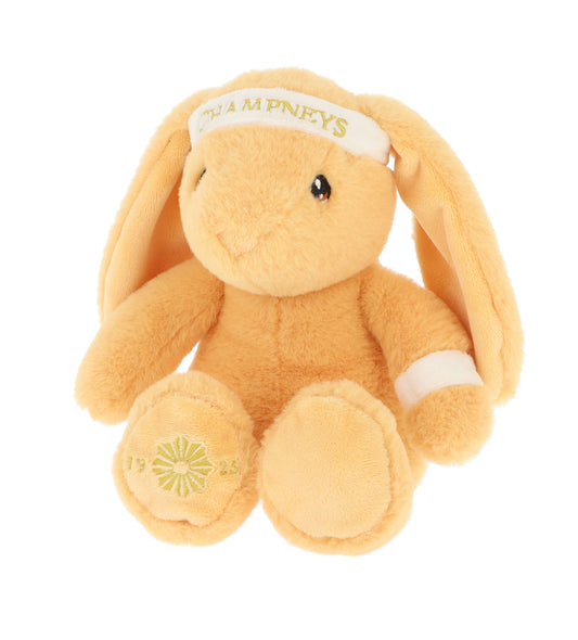 Champneys Gym Bunny